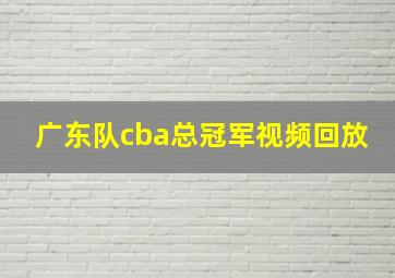 广东队cba总冠军视频回放