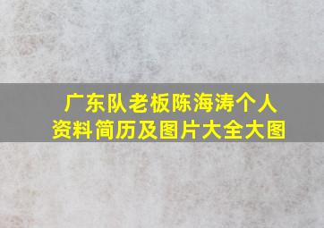 广东队老板陈海涛个人资料简历及图片大全大图