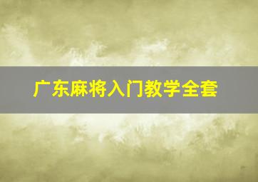 广东麻将入门教学全套