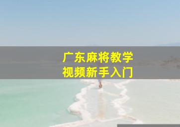 广东麻将教学视频新手入门