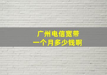 广州电信宽带一个月多少钱啊