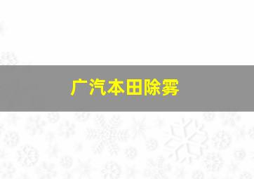 广汽本田除雾