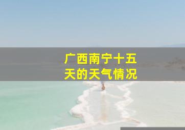 广西南宁十五天的天气情况