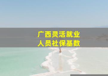 广西灵活就业人员社保基数