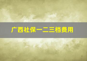 广西社保一二三档费用