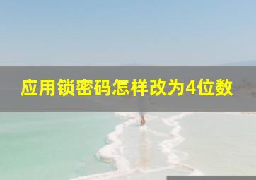 应用锁密码怎样改为4位数