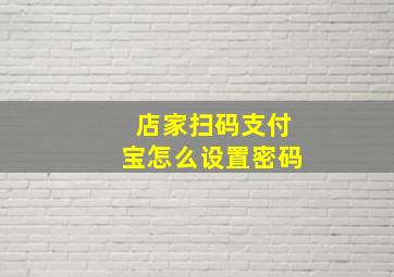 店家扫码支付宝怎么设置密码