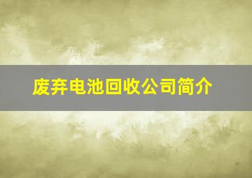 废弃电池回收公司简介