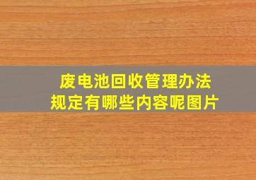 废电池回收管理办法规定有哪些内容呢图片