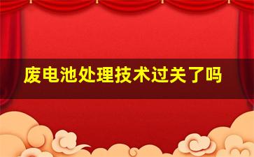 废电池处理技术过关了吗