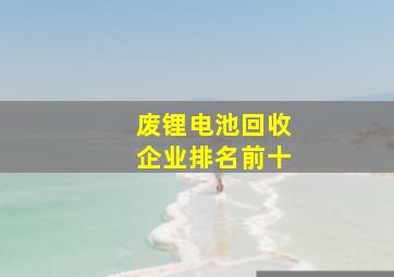 废锂电池回收企业排名前十