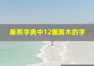 康熙字典中12画属木的字