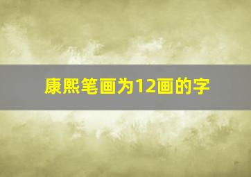 康熙笔画为12画的字