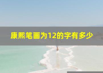 康熙笔画为12的字有多少