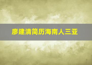 廖建清简历海南人三亚