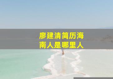 廖建清简历海南人是哪里人