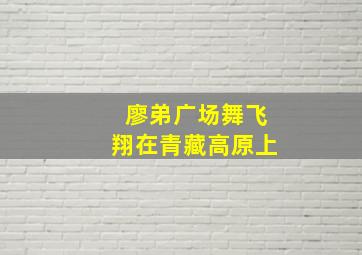 廖弟广场舞飞翔在青藏高原上