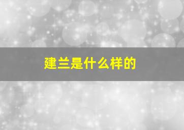 建兰是什么样的