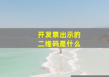 开发票出示的二维码是什么