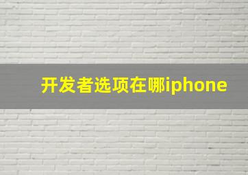 开发者选项在哪iphone