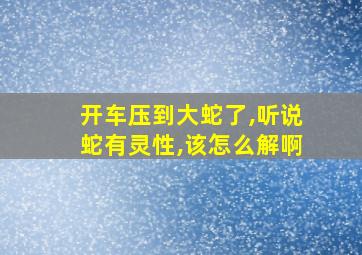 开车压到大蛇了,听说蛇有灵性,该怎么解啊