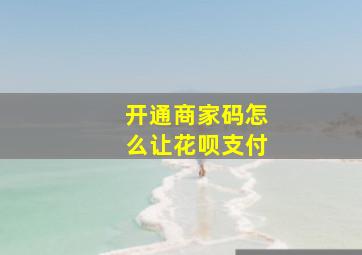 开通商家码怎么让花呗支付