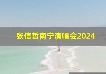 张信哲南宁演唱会2024