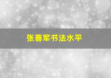 张善军书法水平