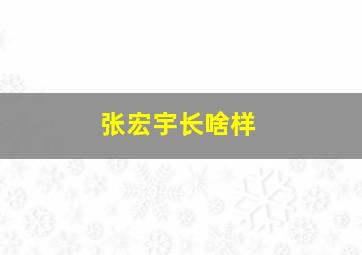 张宏宇长啥样