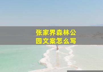 张家界森林公园文案怎么写