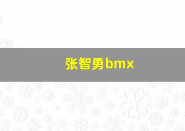 张智勇bmx