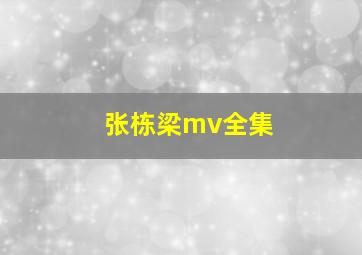 张栋梁mv全集