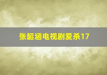 张韶涵电视剧爱杀17