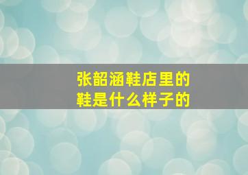 张韶涵鞋店里的鞋是什么样子的