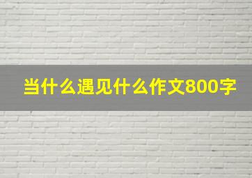 当什么遇见什么作文800字