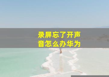 录屏忘了开声音怎么办华为