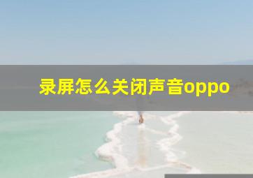 录屏怎么关闭声音oppo