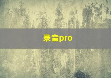 录音pro