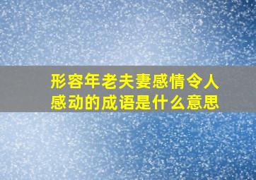 形容年老夫妻感情令人感动的成语是什么意思