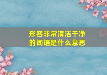 形容非常清洁干净的词语是什么意思