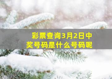 彩票查询3月2日中奖号码是什么号码呢