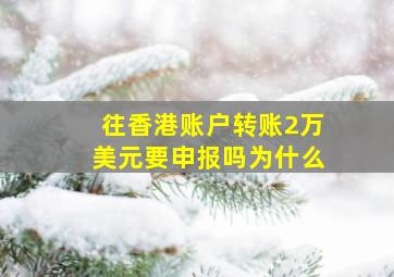 往香港账户转账2万美元要申报吗为什么