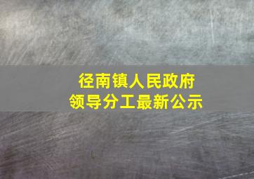 径南镇人民政府领导分工最新公示