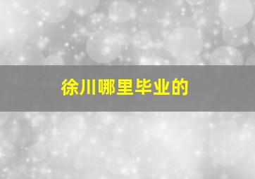 徐川哪里毕业的