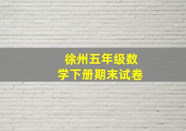 徐州五年级数学下册期末试卷