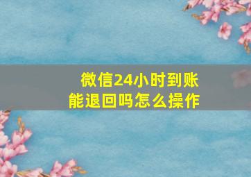 微信24小时到账能退回吗怎么操作