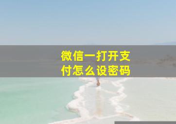 微信一打开支付怎么设密码