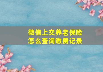 微信上交养老保险怎么查询缴费记录