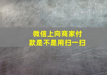 微信上向商家付款是不是用扫一扫