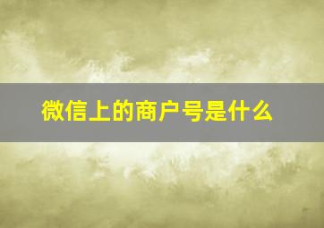 微信上的商户号是什么